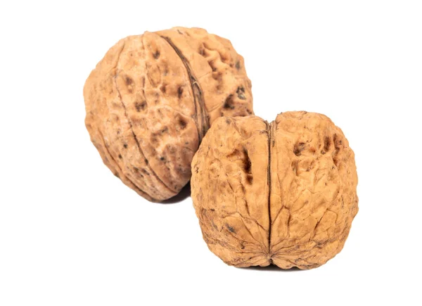 Dvě velké vlašské ořechy — Stock fotografie