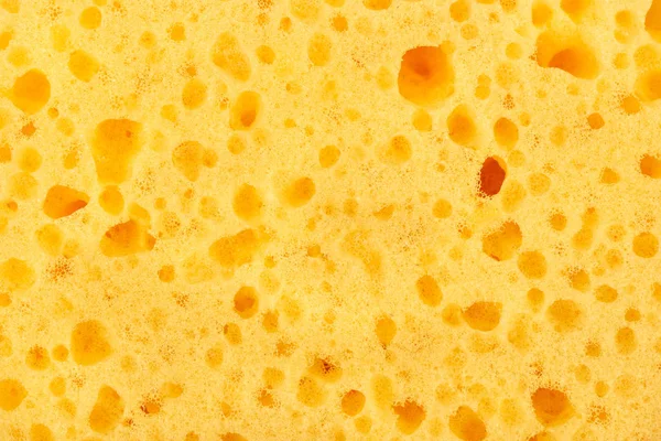 Żółta gąbka zbliżenie — Zdjęcie stockowe