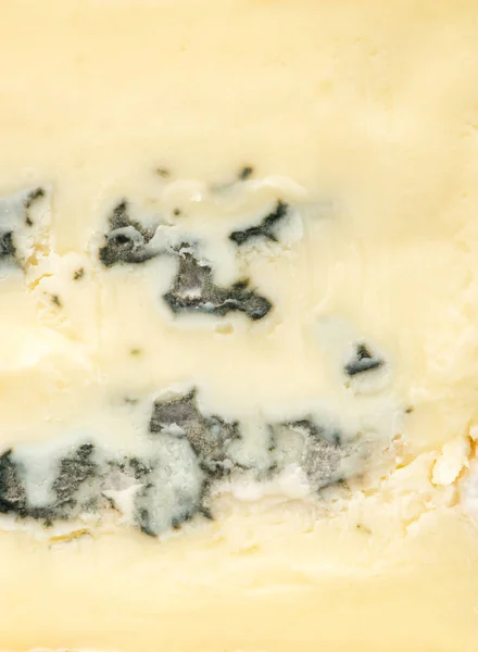 Primer plano del queso brie —  Fotos de Stock