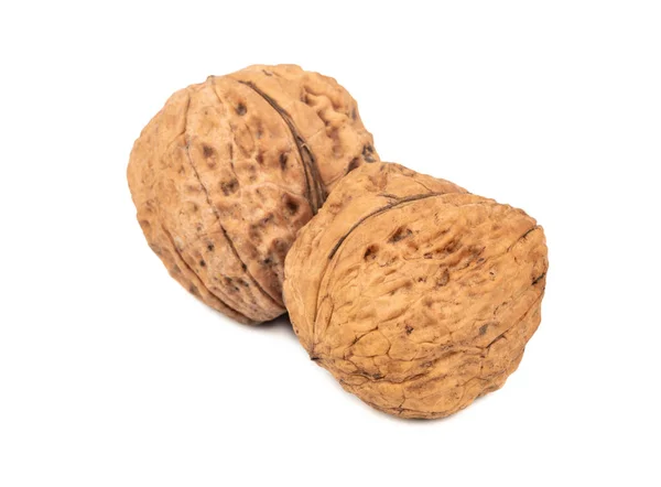 Dvě velké vlašské ořechy — Stock fotografie