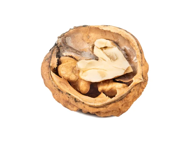 Half walnut isolate — Stock Photo, Image
