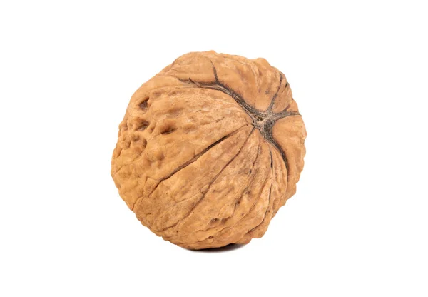 Large walnut isolate — Stock Photo, Image