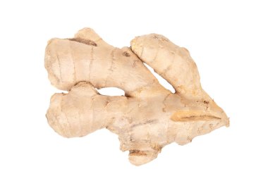 Zencefil kökü izole