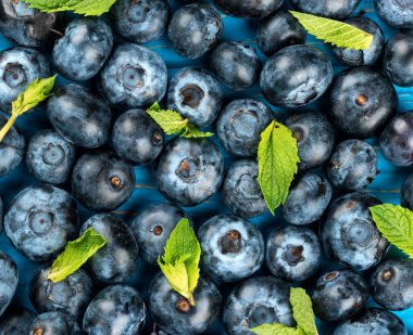 Arka plan taze yaban mersini