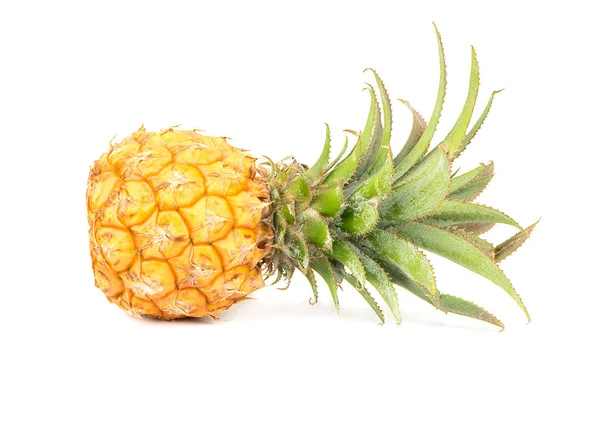Мини-фруктовый ананас — стоковое фото