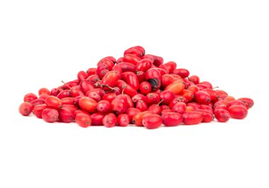 Demet taze kızamık