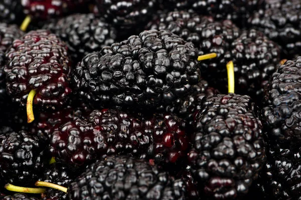 Black Mulberry closeup — Fotografia de Stock