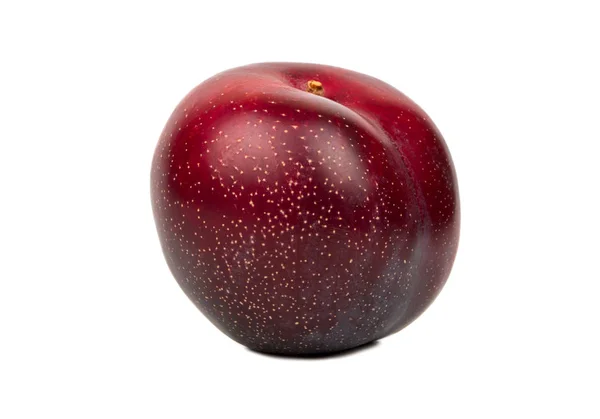 Big red plum — Stock Photo, Image