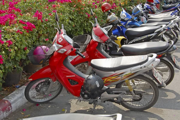 Pattaya Thailand Mai 2018 Satz Der Geparkten Roller Der Nähe — Stockfoto
