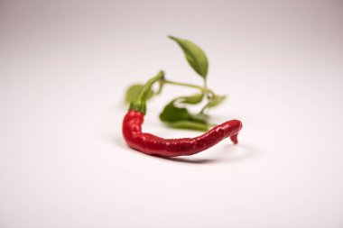 Kırmızı biber tozu ve masa arkasında taze ve kurutulmuş biber.