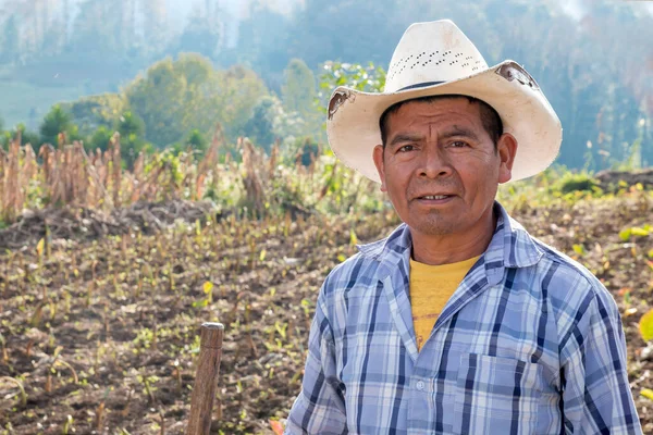 Pequeño Agricultor Granja Verduras — Foto de Stock