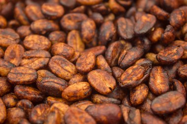 Kurutulmuş kahve taneleri ve bal süreci, hamurlama işleminden hemen sonra kurutulur..