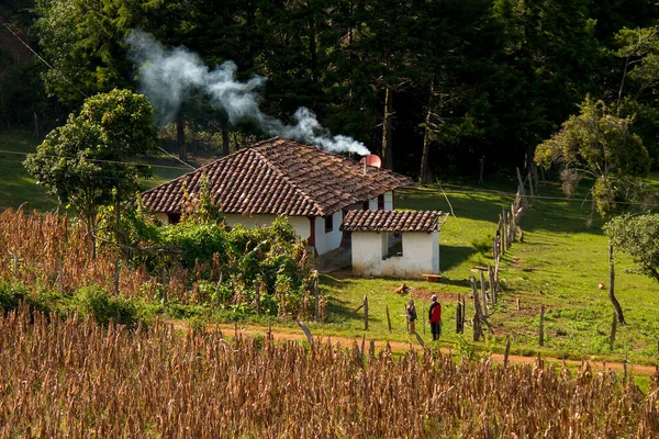 Una Típica Casa Rural Honduras Hecha Con Barro Adobe — Foto de Stock