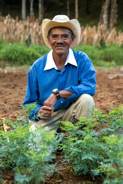 Kleine Boer Zijn Boerderij Honduras — Stockfoto