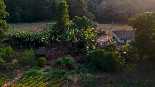 Luchtfoto Van Een Tipisch Landhuis Honduras Gemaakt Van Klei Adobe — Stockvideo