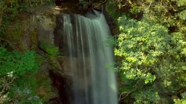 Honduras 'ta bir yağmur ormanına düşen bir su üzerinde dönüyor.