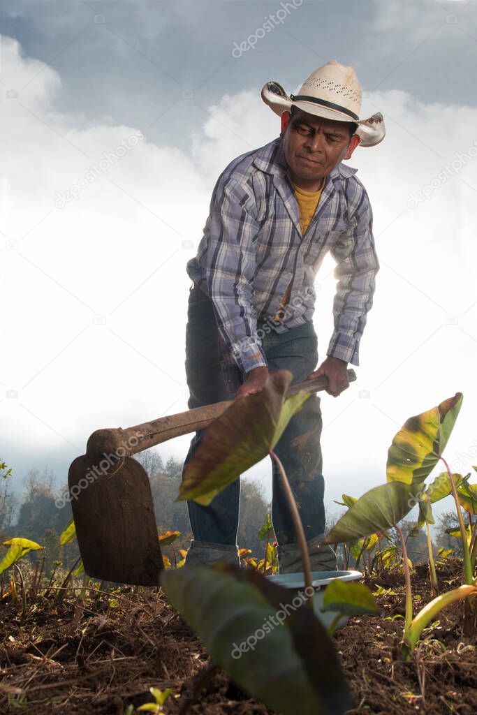 marco.vasquez
