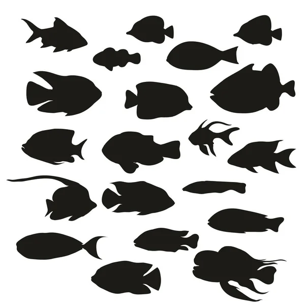 Grande serie di silhouette di pesci tropicali isolate su sfondo bianco. Illustrazione vettoriale. — Vettoriale Stock