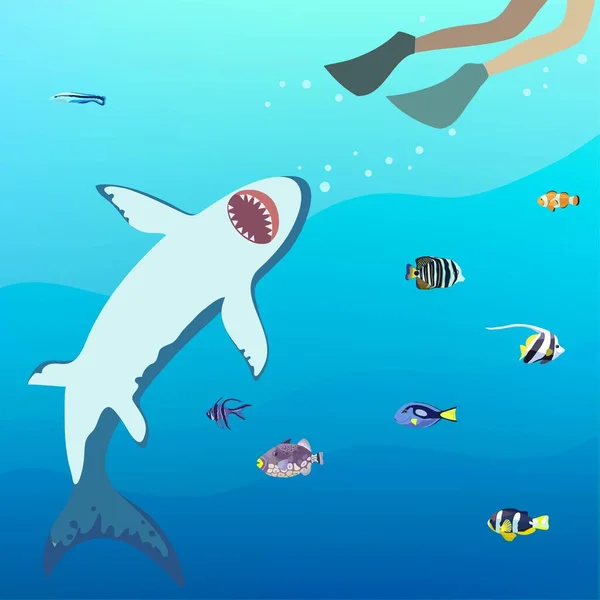 Lo squalo arrabbiato cerca di catturare il subacqueo. Illustrazione vettoriale. — Vettoriale Stock