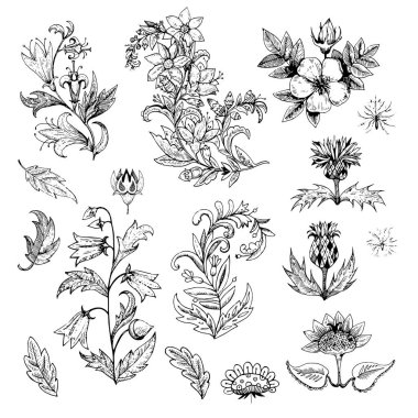 Mürekkepli el çizimi çiçekler ve kaliteli bitkiler. Vektör illüstrasyonu. 