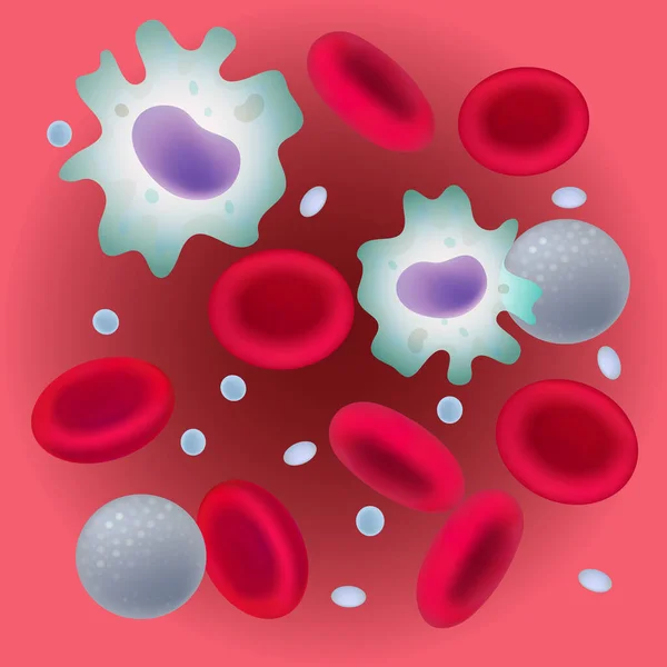 Клетки крови. Эритроциты, лейкоциты и тромбоциты. Медицинская векторная иллюстрация . — стоковый вектор