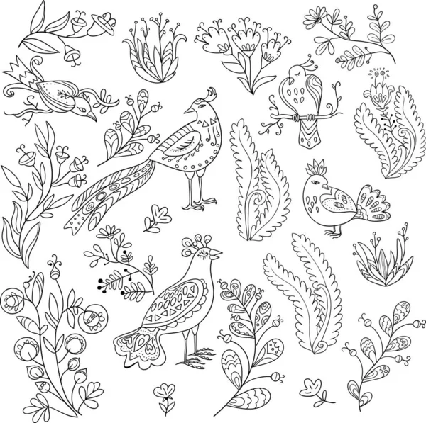 Gran conjunto de aves de hadas y lindas plantas y flores . — Vector de stock