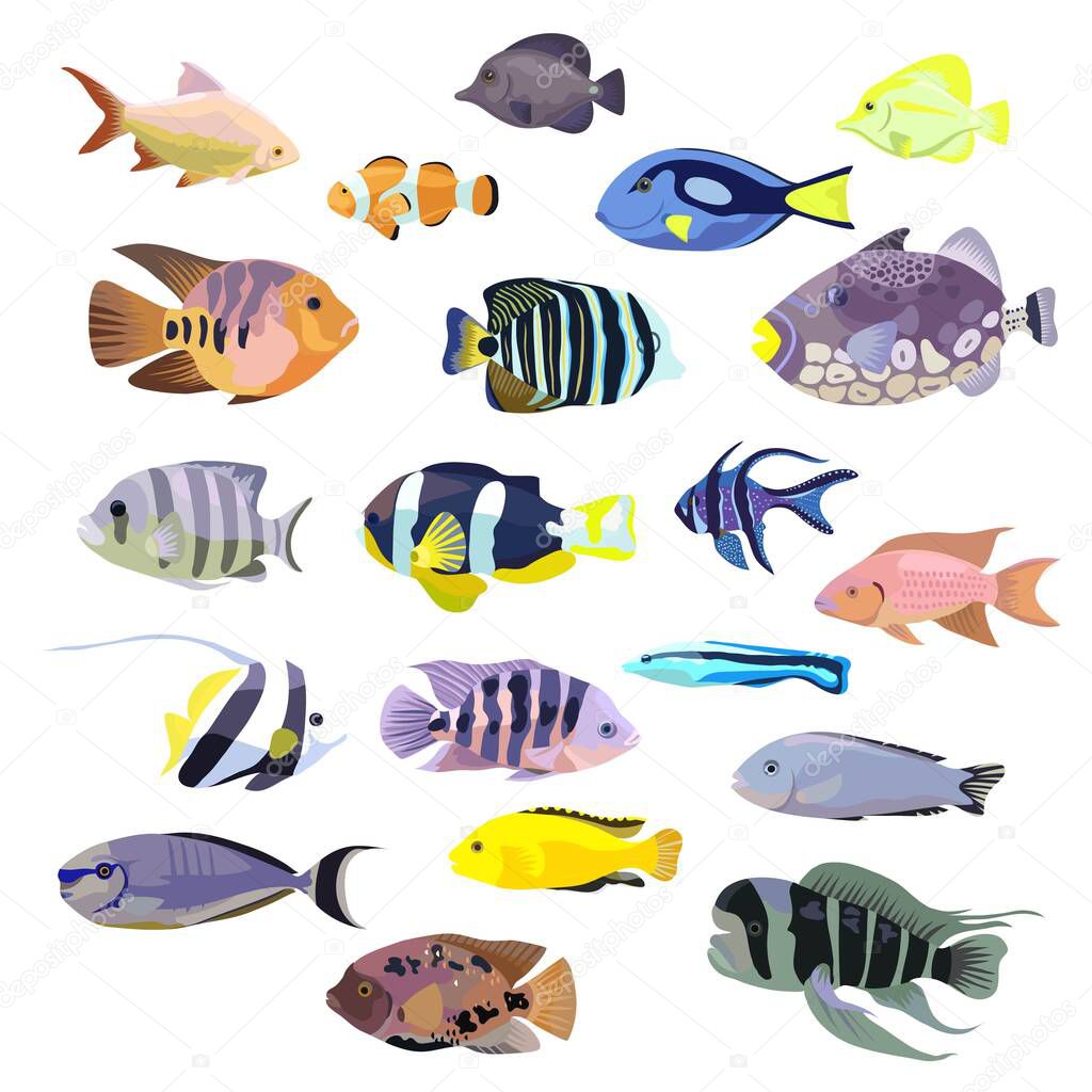 Big set of tropical coral colorful fishes, isolated on white. Vector illustration.