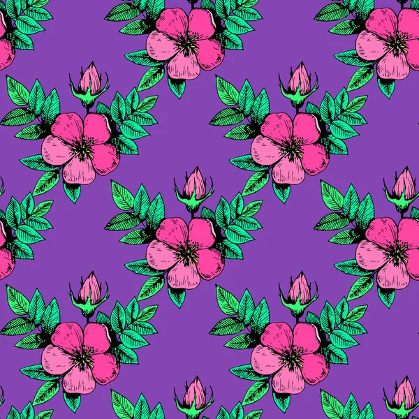 Modèle sans couture avec des fleurs de rose de chien vintage régulier. — Image vectorielle