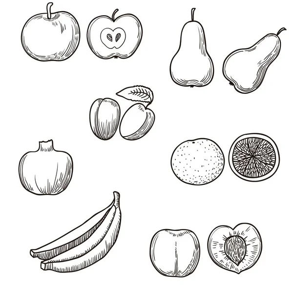 Büyük el çizimi meyveler.