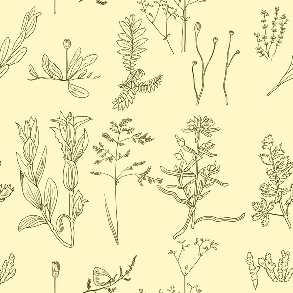 Motif sans couture avec art de ligne original vintage plantes forestières réalistes. — Image vectorielle