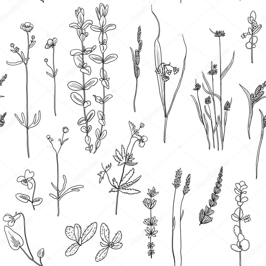 Seamless pattern with vintage original line art realistic meadow plants.