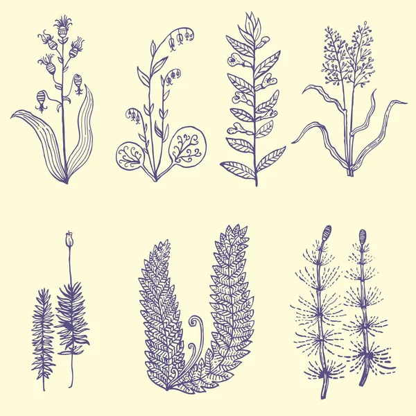 Conjunto de tinta desenhada plantas simples de floresta e prado — Vetor de Stock