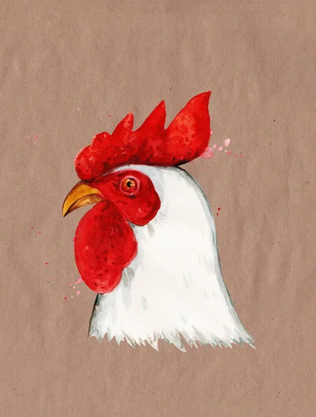 Cock isolated on white background. Rooster. Watercolor illustration. — Stock Photo, Image