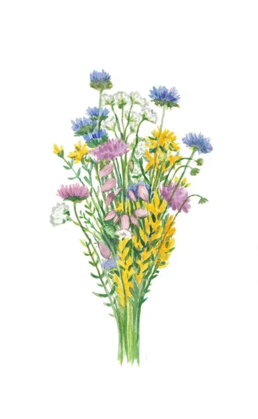Buquê retro vintage com flores de prado isolado no fundo branco. Ilustração realista aquarela. — Fotografia de Stock