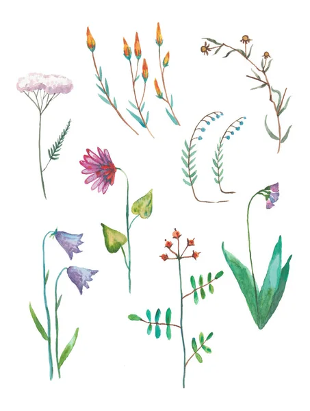 Kolekcja akwareli ręcznie rysowane, stylizowane kwiaty — Zdjęcie stockowe
