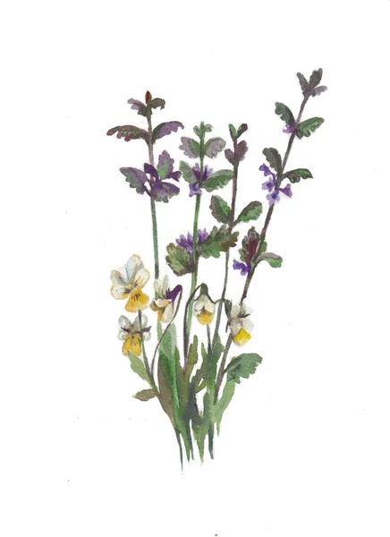 Buquê retro vintage com flores de prado isolado no fundo branco. Ilustração realista aquarela. — Fotografia de Stock