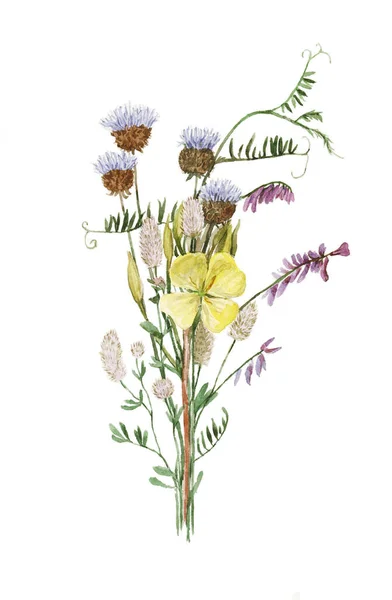 Vintage-Retro-Bouquet mit Wiesenblumen isoliert auf weißem Hintergrund. Aquarell realistische Illustration. — Stockfoto