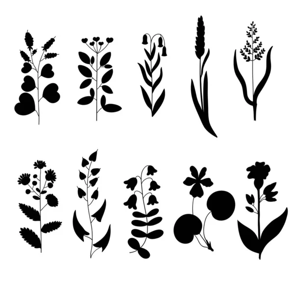 Big set of vintage original line art meadow plants. — Stock Vector