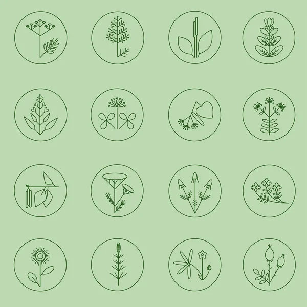 Set van geneeskrachtige planten pictogrammen. Minimalistische planten illustraties — Stockvector