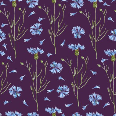 Mavi çiçek ve taç yaprakları dikişsiz desen. Suluboya çizimi beyaz arkaplanda izole edildi.