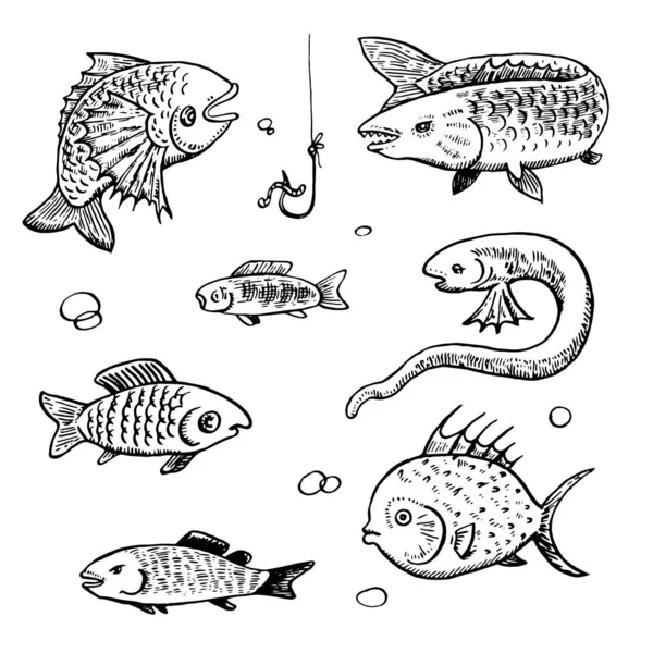 Conjunto de tinta dibujado peces de dibujos animados enojado. — Vector de stock