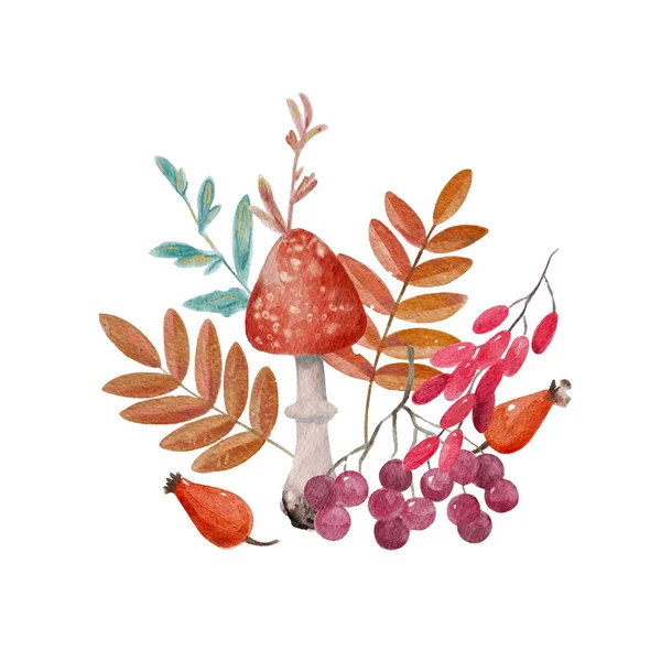 Composizione autunnale ad acquerello con foglie, funghi e bacche. — Foto Stock