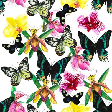İnanılmaz tropik egzotik kelebekler ve orkide çiçekleriyle suluboya kusursuz desen.. 