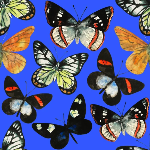 水彩斑斓的无缝图案与迷人的热带奇特蝴蝶. — 图库照片