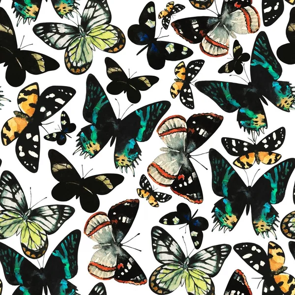 水彩斑斓的无缝图案与迷人的热带奇特蝴蝶. — 图库照片