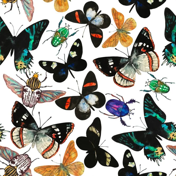 Υδατογραφία αδιάλειπτη μοτίβο με καταπληκτική τροπικές εξωτικές πεταλούδες και σκαθάρια. — Φωτογραφία Αρχείου