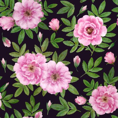  Güzel, romantik, çiçekli ve yaban gülü çiçekli bir desen. Suluboya el çizimi çizimi.