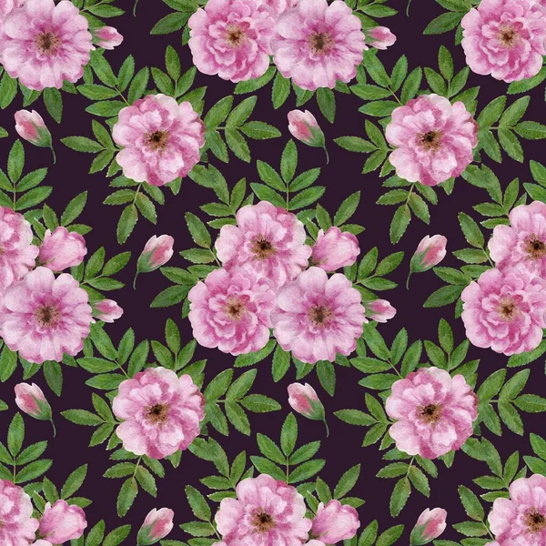 Mignon motif floral vintage romantique sans couture avec des fleurs de rose sauvage. Aquarelle illustration dessinée à la main. — Photo