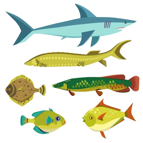 Set avec vecteur divers poissons stylisés colorés mignons. — Image vectorielle