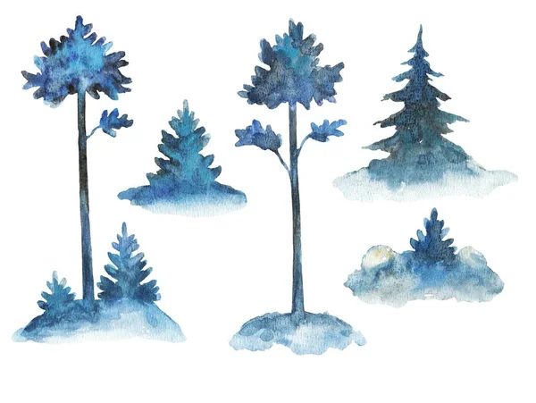 Acquerello collezione di alberi da fuoco. Spruzzi e pini, illustrazione dipinta a mano nel bosco per cartoline natalizie, invito. — Foto Stock